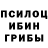 Псилоцибиновые грибы прущие грибы TED VEY