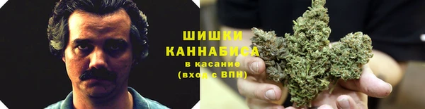 бошки Лагань
