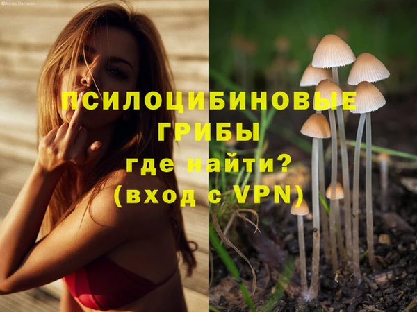 бошки Лагань