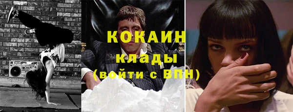 бошки Лагань