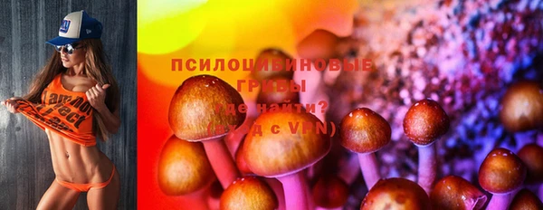 бошки Лагань